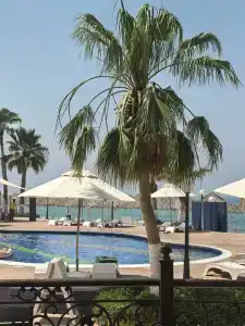 Royal Beach & Resort - 73