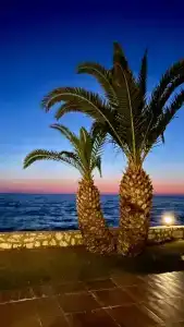 Le Bleu & Resort Kusadasi - 22