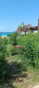 Calido Maris All Inclusive - 16