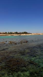 Wadi Lahmy Azur Resort - Soft All-Inclusive - 70