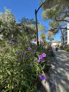 Omer Holiday Resort - All Inclusive - 32