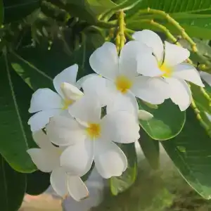 Dubai Marine Beach Resort & Spa - 19