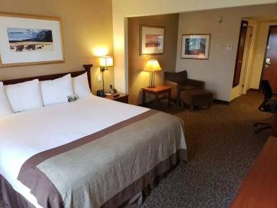 Wingate by Wyndham - Edmonton West - 48