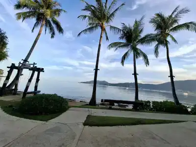 Amari Phuket - SHA Extra Plus - 49