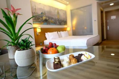 Gorrion Istanbul - 16