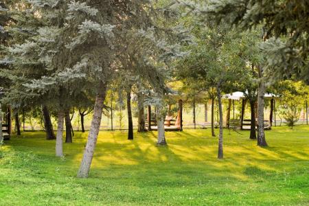 Anadolus Esenboga Thermal - 31