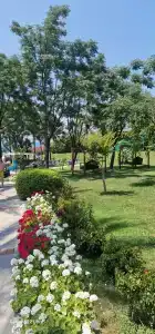 Alva Donna Beach Resort Comfort - 27