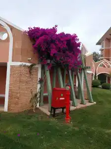 Megasaray Club Belek - 72