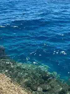 Arabia Azur Resort - 44