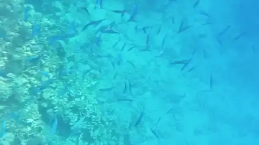 Sharming Inns - Couples and Families Only - 89