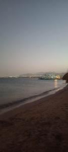 Paradise Abu Soma Resort - 65