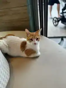 Selectum Luxury Door'a Bodrum - 43