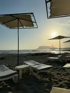 Saritas ONLY FAMILY CONCEPT - 57