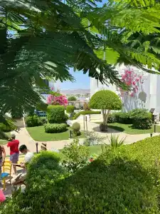 Solymar Naama Bay - 94