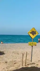 Washington Resort & Spa - 73