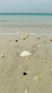 The St. Regis Saadiyat Island Resort, Abu Dhabi - 37