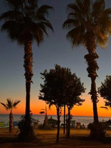 Kleopatra Celine - 17