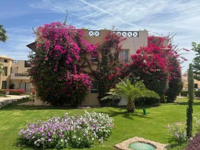 Concorde El Salam Sharm El Sheikh Front - 77