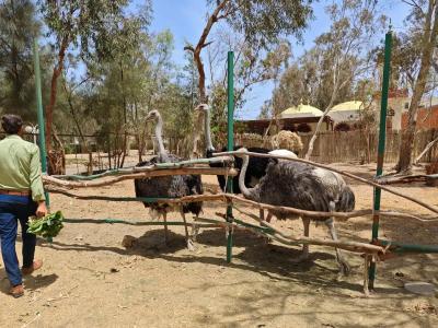 Labranda Club Makadi - 77