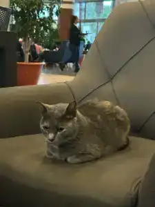 VONRESORT Golden Beach & Aqua - Kids Concept-Ultra All Inclusive - 72