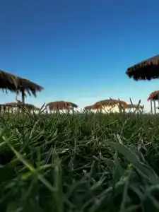 Steigenberger Alcazar - 44