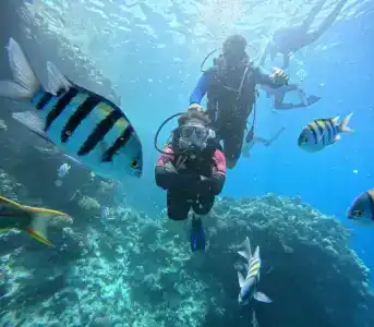 Jaz Makadi Saraya Palms - 15