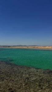 Wadi Lahmy Azur Resort - Soft All-Inclusive - 21