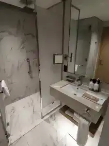 Adagio Premium The Palm - 74