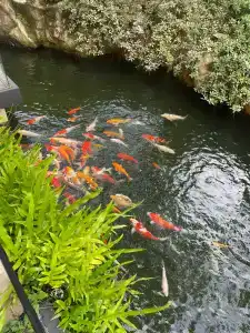 Centara Grand Mirage Beach Resort Pattaya - 47