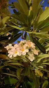 The Westin Dubai Mina Seyahi Beach Resort and Waterpark - 100