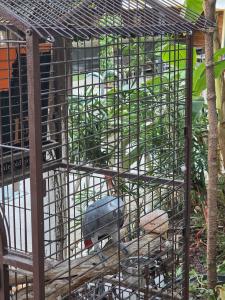 Castle Old Town - 60