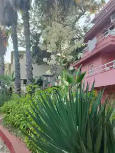 Senza Garden Holiday Club - Ultra All Inclusive - 38