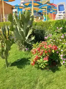 Hawaii Paradise Aqua Park Resort - Families and Couples Only - 53