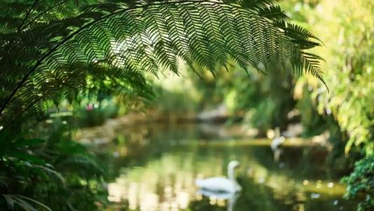 Bel-Air - Dorchester Collection - 78