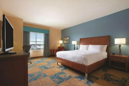 Hilton Garden Inn Oklahoma City/Bricktown - 23