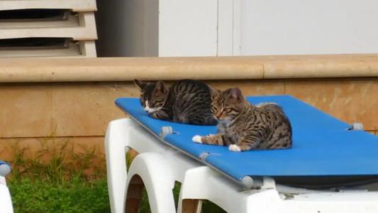 Poseidonia Beach - 17