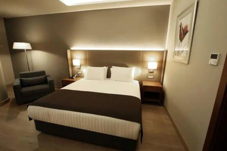 Holiday Inn Bursa - City Centre, an IHG - 59