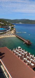 Blue Dreams Resort - 84