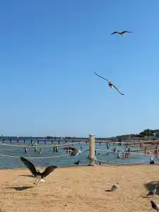 Parrotel Lagoon Waterpark Resort - 88