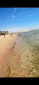 Ivy Cyrene Sharm Resort Adults Friendly Plus 13 - 3