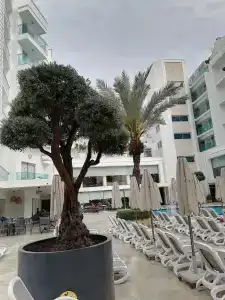 Blue Bay Platinum - 14