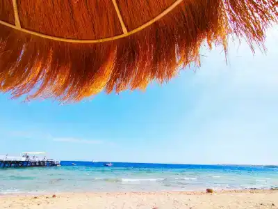 Sunrise Remal Beach Resort - 52