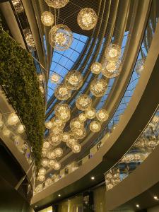Bosphorus Sorgun - 13