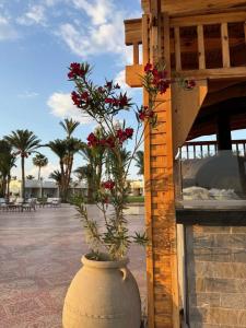 Dahab Lagoon Club & Resort Ex Tirana Dahab - 84