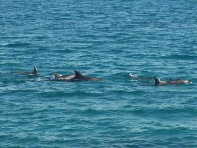 Pickalbatros Dana Beach Resort - Hurghada - 51