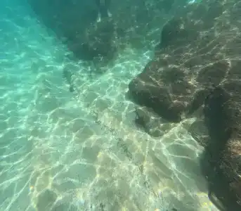 Sultan Sipahi Resort - 64