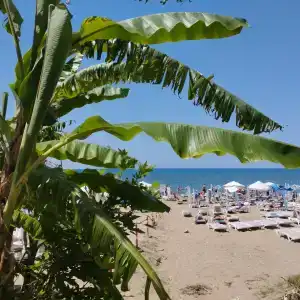 Armas Bella Sun - 63