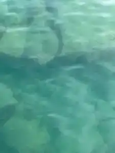 Saphir & Villas - 62