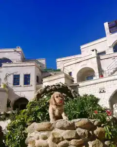 Doors Of Cappadocia - 8