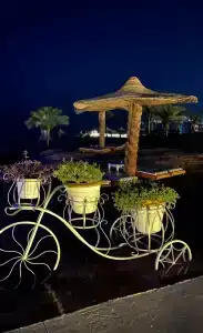Monte Carlo Sharm Resort & Spa - 60